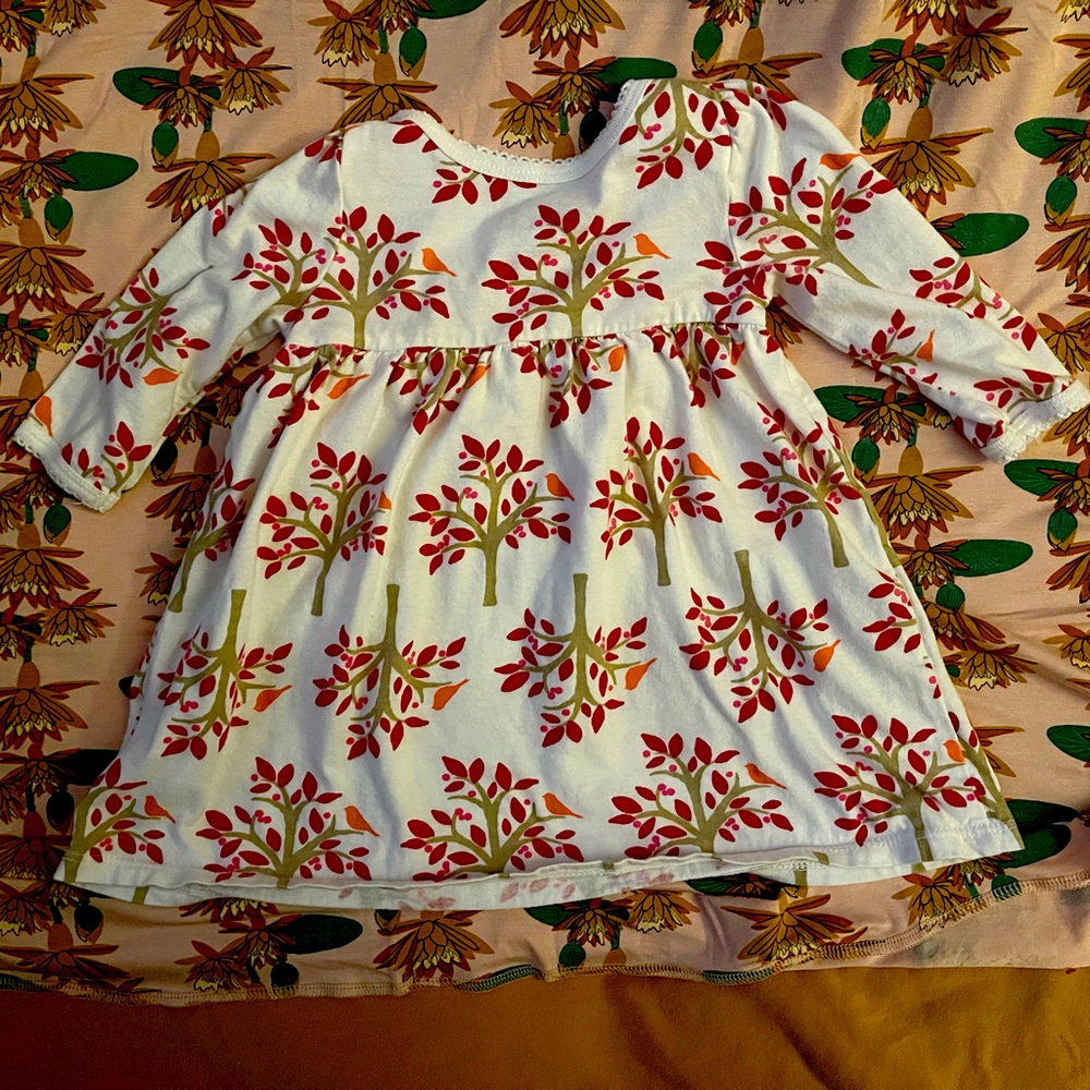 Old navy 3-6 months holly Christmas dress